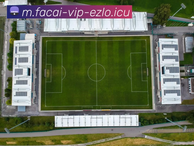 开云体育APP 体育赛事宣传图